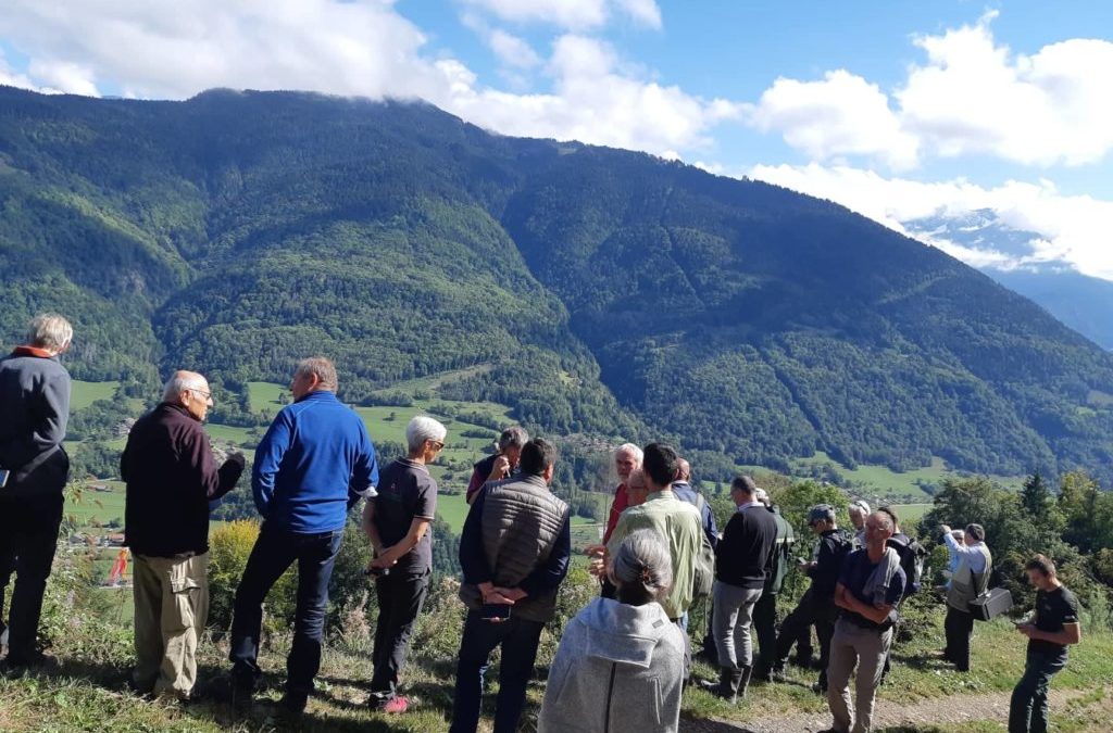 Des idées de plantation face au changement climatique.