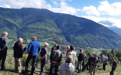 Des idées de plantation face au changement climatique.