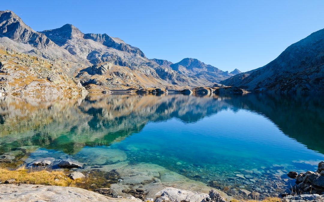 Biodiversité : appel à projet à destination des collectivités de Belledonne !