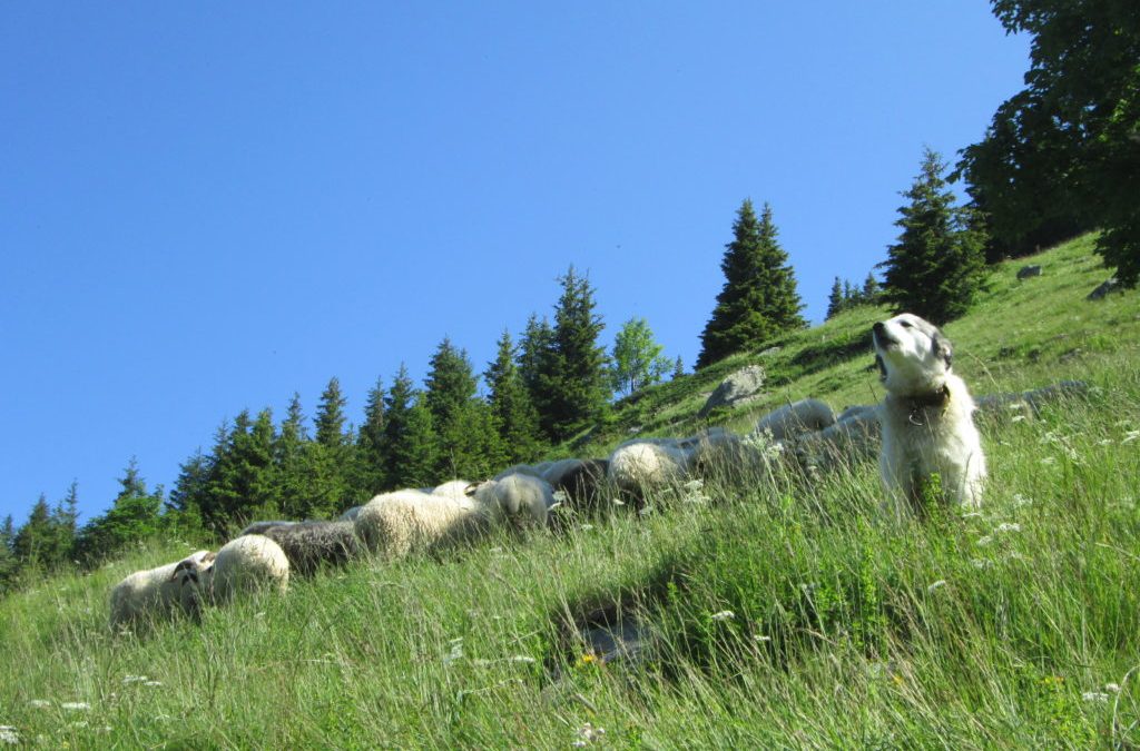 Des nouvelles de l&rsquo;agriculture !