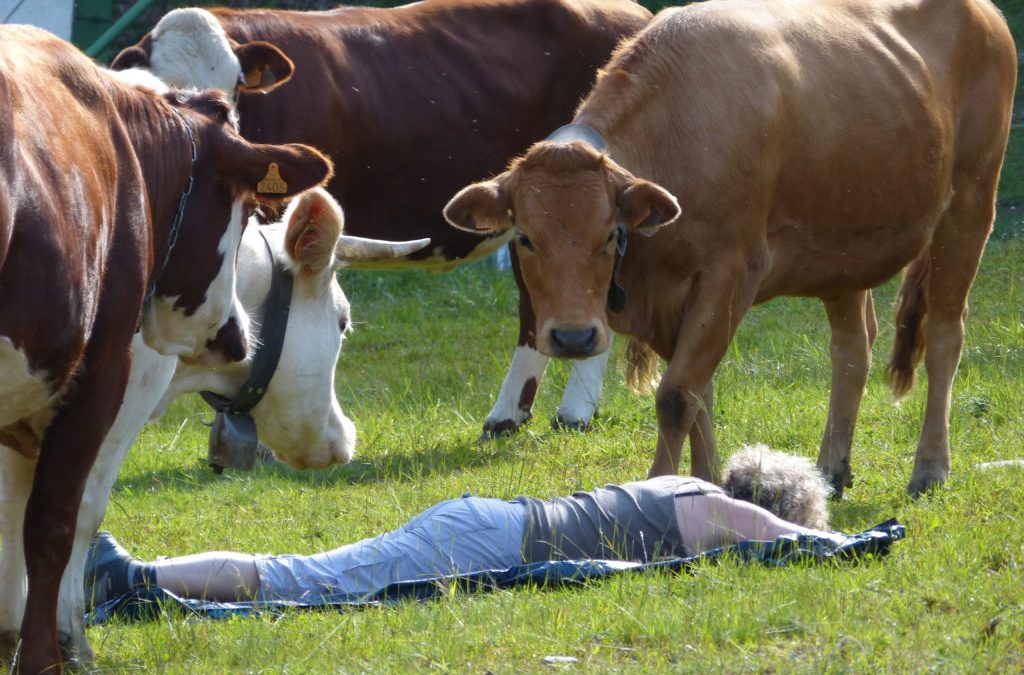 Restitution de la démarche « Gestion partagée »