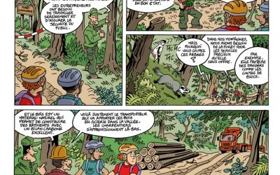 3 planches de BD sur la forêt