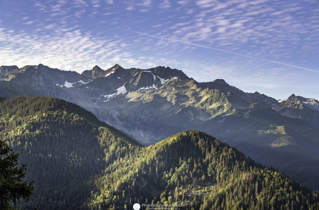 Des aides pour les forêts de Belledonne