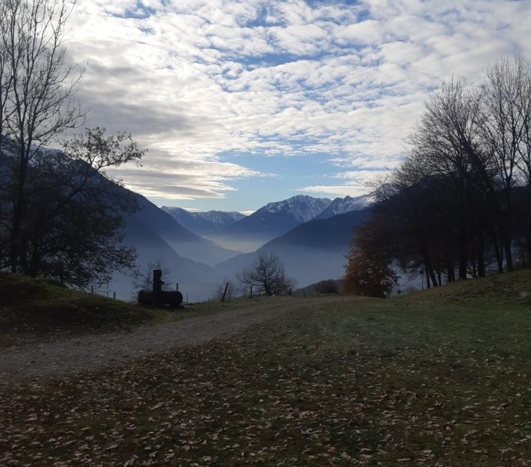 Un verger plein de biodiversité voit le jour à St-Georges-d&rsquo;Hurtières