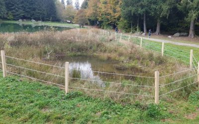 CVB – Gestion de la biodiversité