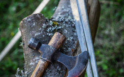 Un nouvel outil pour l&rsquo;exploitation forestière au service des élus et des exploitants forestiers..