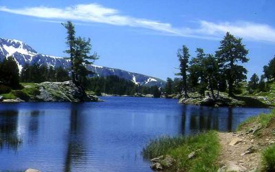 Biodiversité : appel à projet à destination des collectivités de Belledonne !