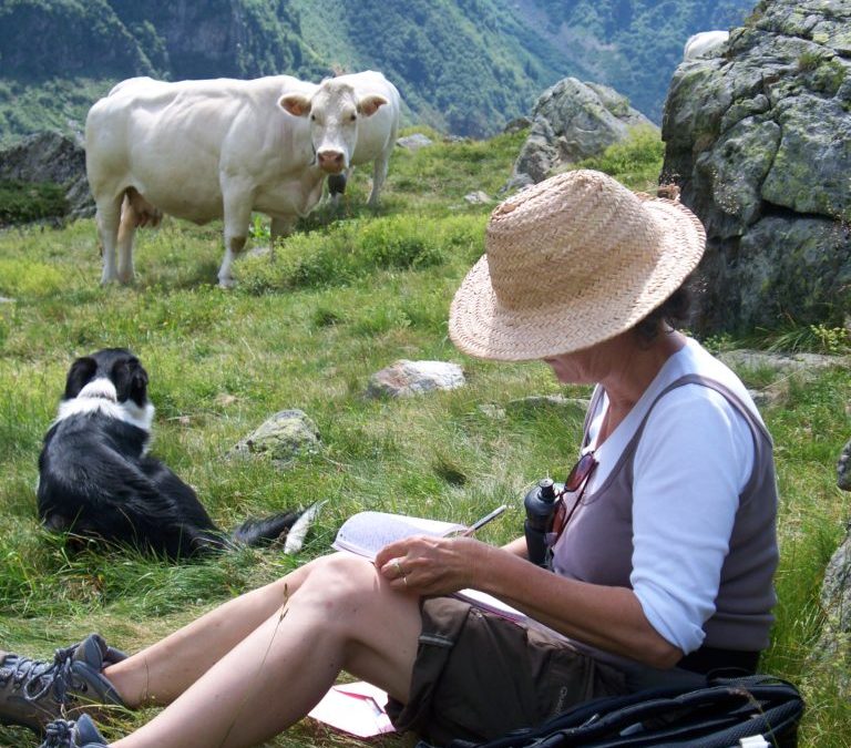 Pour un été serein en Belledonne..