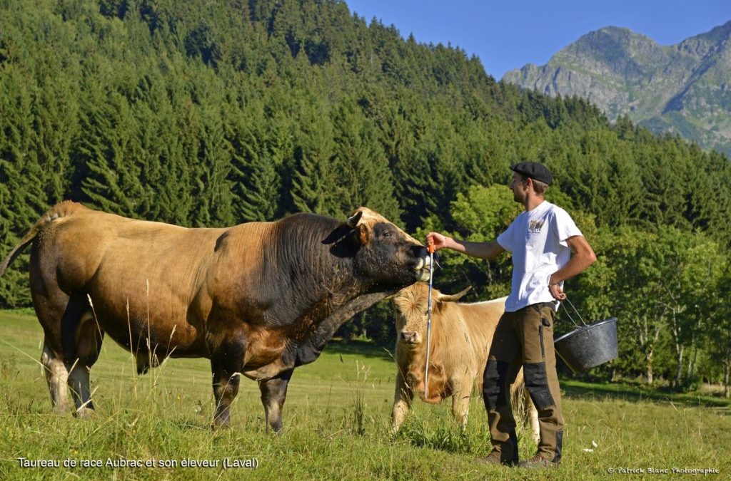Zoom sur l&rsquo;agriculture en Belledonne