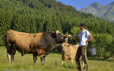Zoom sur l&rsquo;agriculture en Belledonne