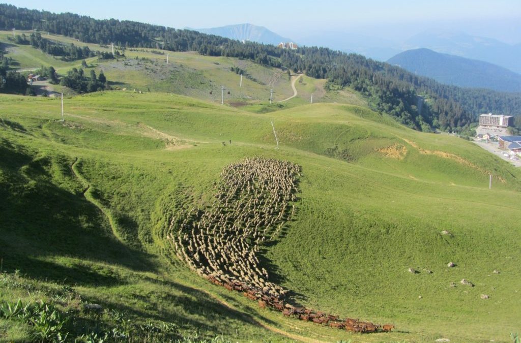 Regards croisés sur la biodiversité
