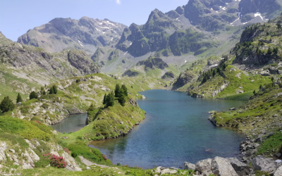 CVB – Nouvelles actions