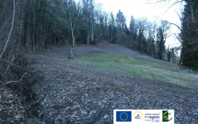 Programme LEADER : 2 ans de plus pour vos projets !