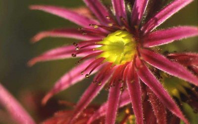 Feu vert pour le Contrat Vert et Bleu !