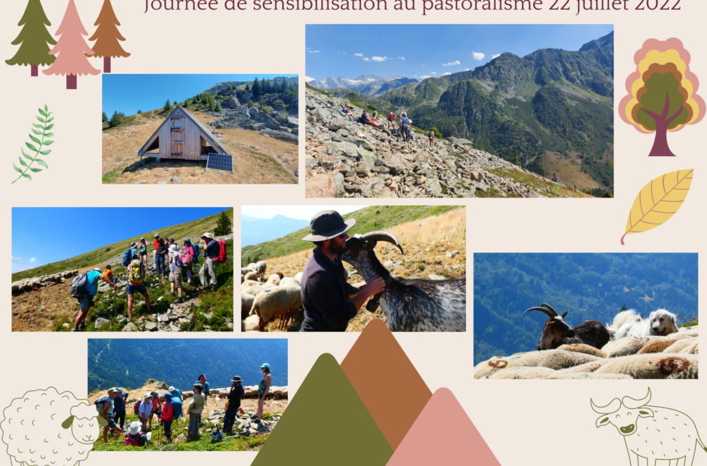 22 juillet 2022 – Journée de sensibilisation au pastoralisme à destination des encadrants de la Fédération Française de Randonnée Pédestre et de la Fédération Française des Clubs Alpins de Montagne