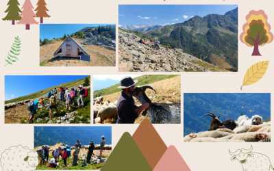22 juillet 2022 – Journée de sensibilisation au pastoralisme à destination des encadrants de la Fédération Française de Randonnée Pédestre et de la Fédération Française des Clubs Alpins de Montagne
