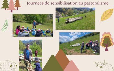 Journée de sensibilisation au pastoralisme