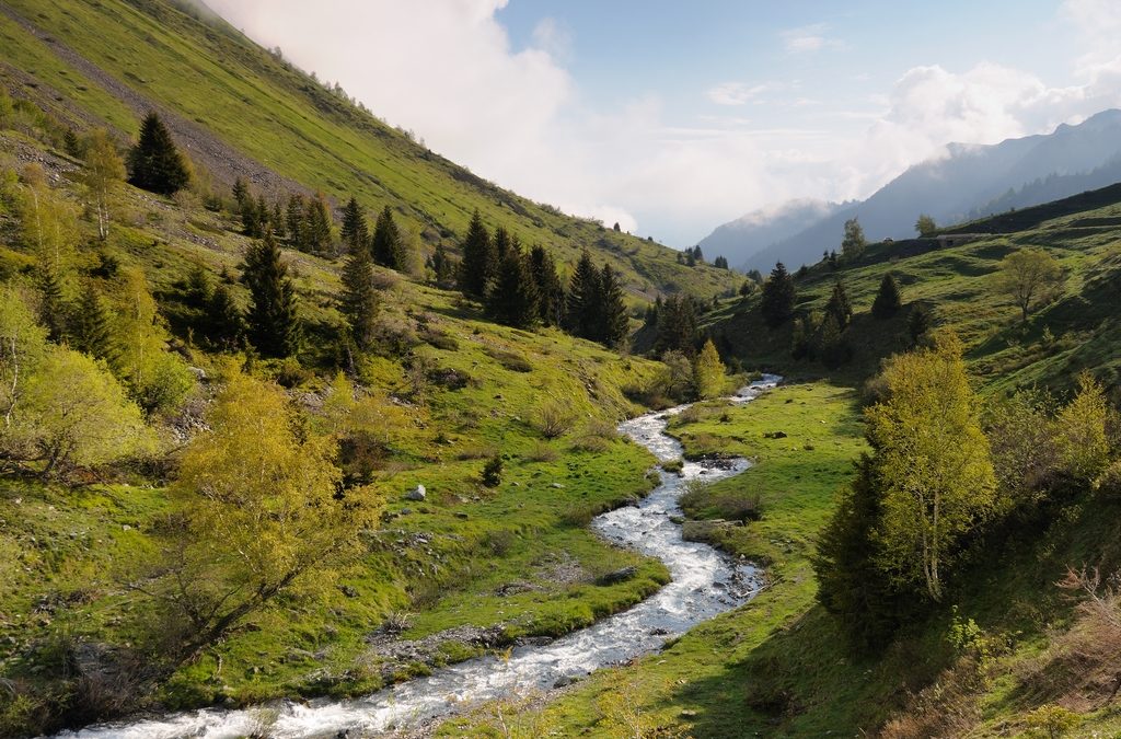 Biodiversité : un appel à projet à destination des collectivités de Belledonne !