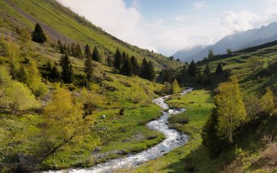 Biodiversité : un appel à projet à destination des collectivités de Belledonne !