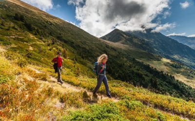 Les bonnes pratiques pour préserver la biodiversité en montagne