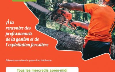 Du 20 juillet au 24 août – Vis ma Vie de Bûcheron