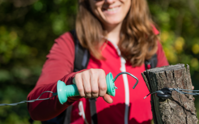 Le saviez-vous ? Episode 1