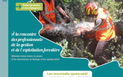 Vis ma vie ma vie de bucheron