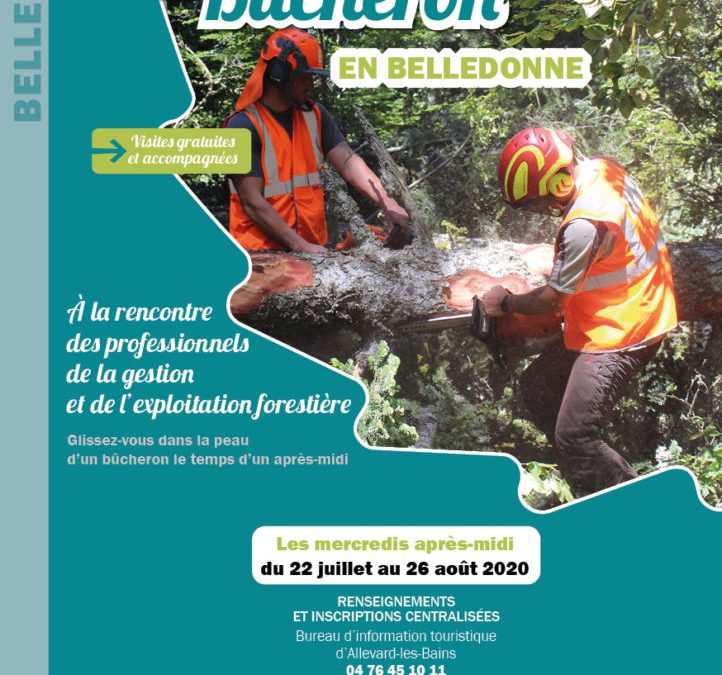 Vis ma vie ma vie de bucheron