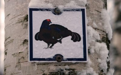 Concilier activités de montagne et biodiversité